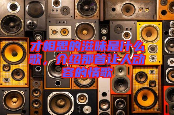 才相思的滋味是什么歌，介紹那首讓人動容的情歌