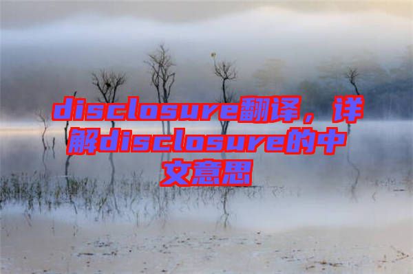 disclosure翻譯，詳解disclosure的中文意思