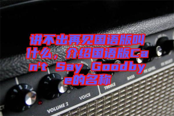 講不出再見(jiàn)國(guó)語(yǔ)版叫什么，介紹國(guó)語(yǔ)版Can't Say Goodbye的名稱