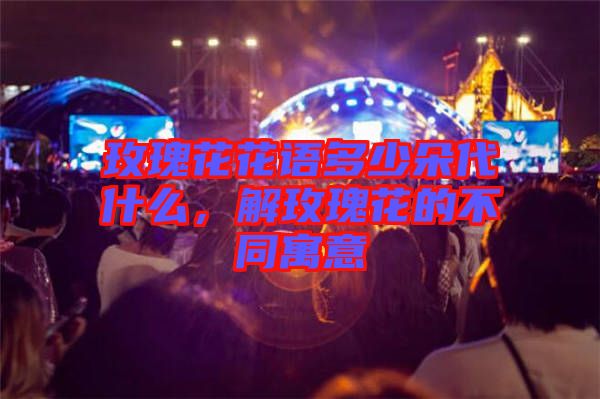 玫瑰花花語多少朵代什么，解玫瑰花的不同寓意