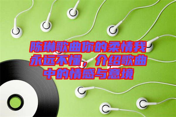 陳琳歌曲你的柔情我永遠不懂，介紹歌曲中的情感與意境
