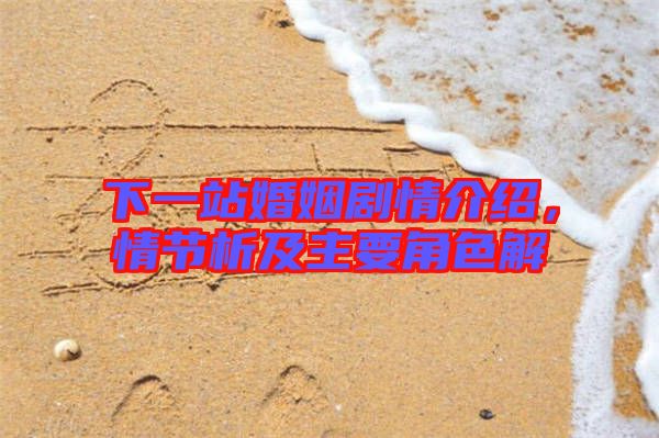 下一站婚姻劇情介紹，情節(jié)析及主要角色解