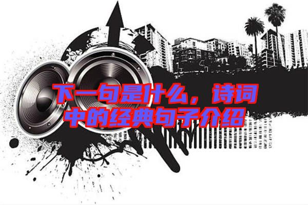 下一句是什么，詩(shī)詞中的經(jīng)典句子介紹