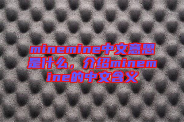 minemine中文意思是什么，介紹minemine的中文含義