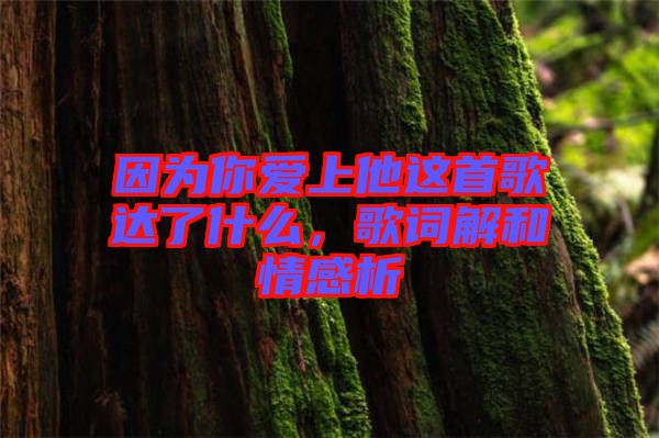 因為你愛上他這首歌達(dá)了什么，歌詞解和情感析