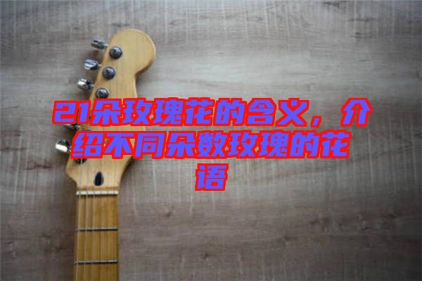 21朵玫瑰花的含義，介紹不同朵數(shù)玫瑰的花語