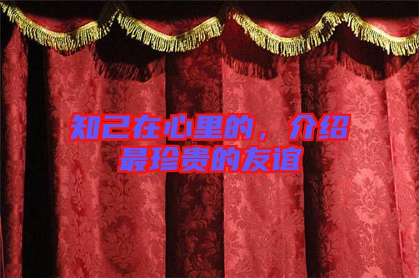 知己在心里的，介紹最珍貴的友誼