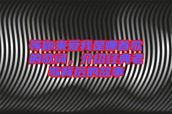 等你來(lái)愛(ài)我是哪首歌的歌詞，介紹經(jīng)典老歌背后的故事