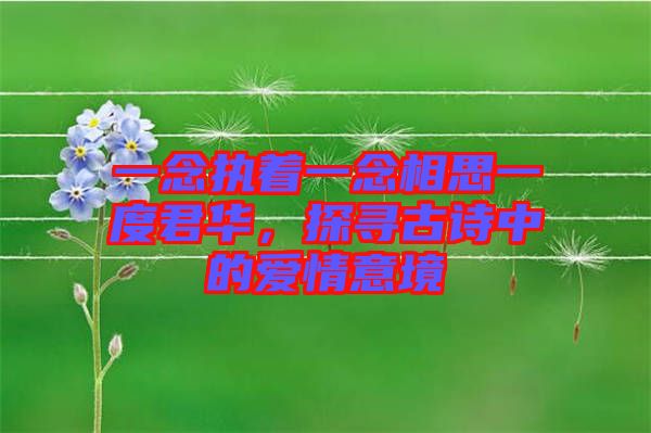 一念執(zhí)著一念相思一度君華，探尋古詩(shī)中的愛(ài)情意境