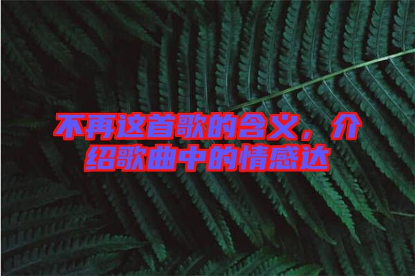 不再這首歌的含義，介紹歌曲中的情感達(dá)