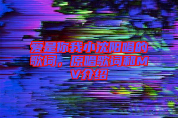 愛是你我小沈陽唱的歌詞，原唱歌詞和MV介紹