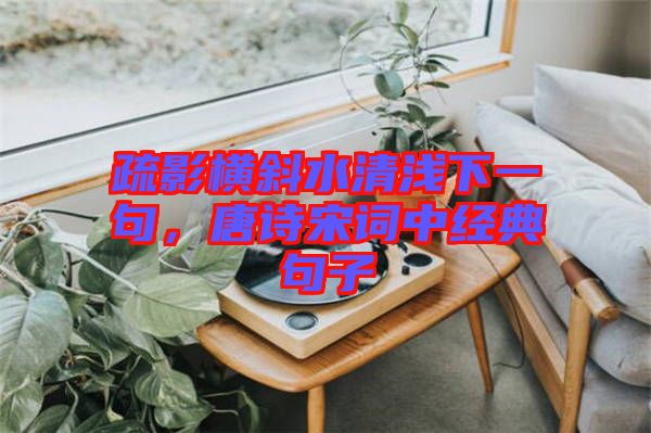 疏影橫斜水清淺下一句，唐詩宋詞中經(jīng)典句子