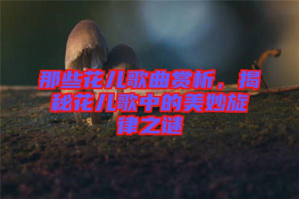 那些花兒歌曲賞析，揭秘花兒歌中的美妙旋律之謎