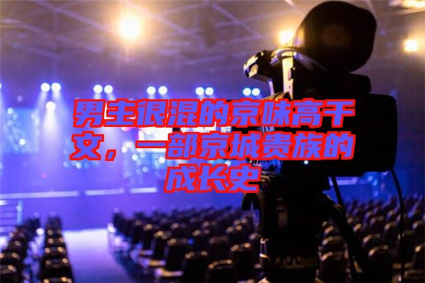 男主很混的京味高干文，一部京城貴族的成長史