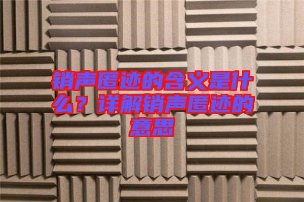 銷聲匿跡的含義是什么？詳解銷聲匿跡的意思