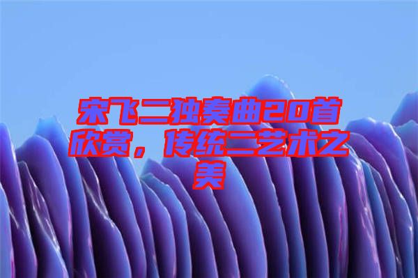 宋飛二獨奏曲20首欣賞，傳統(tǒng)二藝術(shù)之美