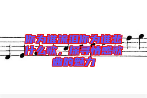 你為誰(shuí)流淚你為誰(shuí)悲什么歌，探尋情感歌曲的魅力