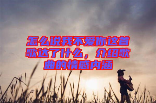 怎么說我不愛你這首歌達(dá)了什么，介紹歌曲的情感內(nèi)涵