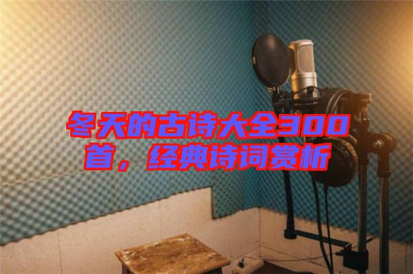 冬天的古詩大全300首，經(jīng)典詩詞賞析
