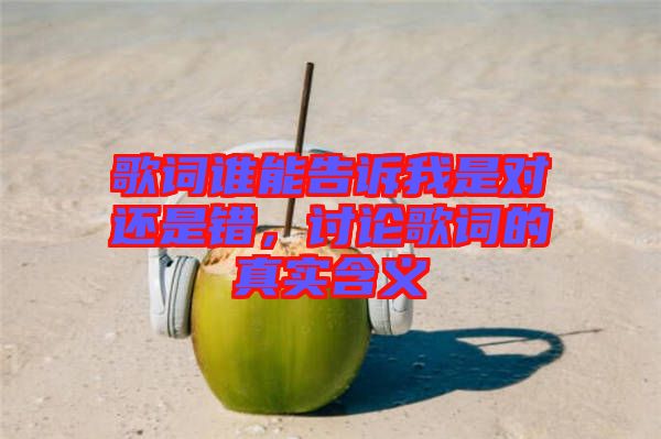 歌詞誰能告訴我是對還是錯，討論歌詞的真實含義