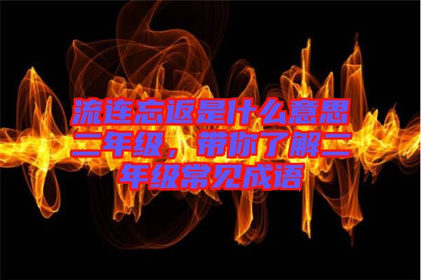 流連忘返是什么意思二年級(jí)，帶你了解二年級(jí)常見(jiàn)成語(yǔ)