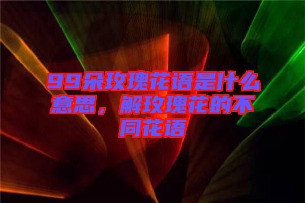 99朵玫瑰花語是什么意思，解玫瑰花的不同花語