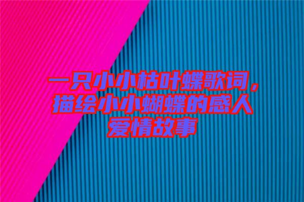 一只小小枯葉蝶歌詞，描繪小小蝴蝶的感人愛情故事