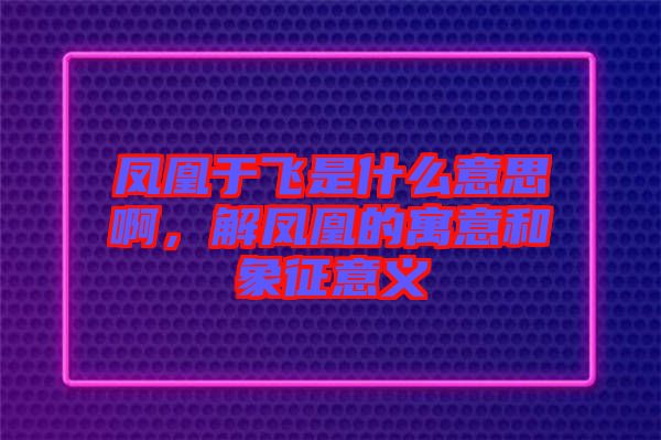 鳳凰于飛是什么意思啊，解鳳凰的寓意和象征意義