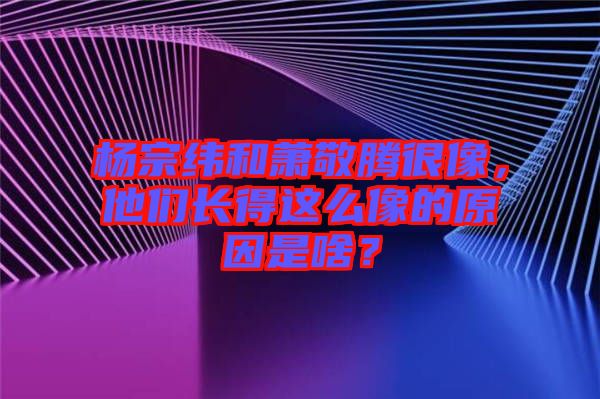 楊宗緯和蕭敬騰很像，他們長(zhǎng)得這么像的原因是啥？