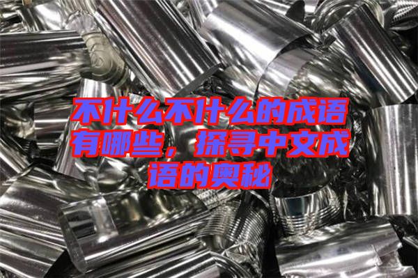 不什么不什么的成語有哪些，探尋中文成語的奧秘