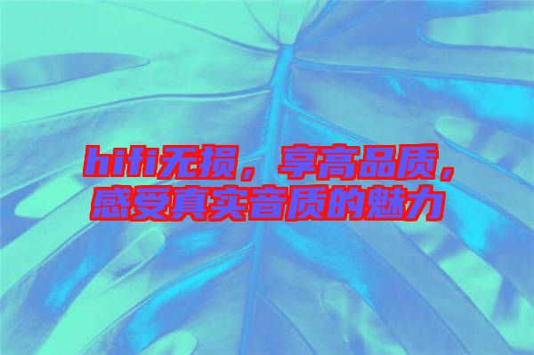 hifi無損，享高品質(zhì)，感受真實(shí)音質(zhì)的魅力