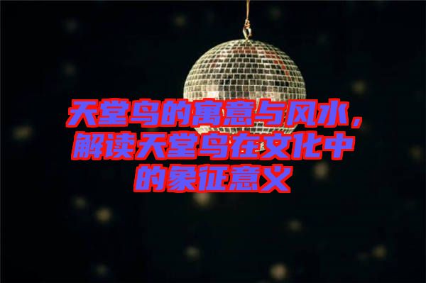 天堂鳥(niǎo)的寓意與風(fēng)水，解讀天堂鳥(niǎo)在文化中的象征意義