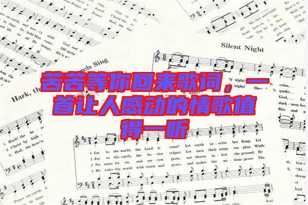 苦苦等你回來歌詞，一首讓人感動的情歌值得一聽