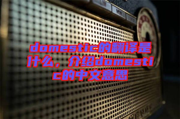 domestic的翻譯是什么，介紹domestic的中文意思
