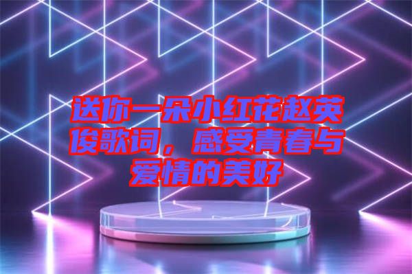 送你一朵小紅花趙英俊歌詞，感受青春與愛(ài)情的美好