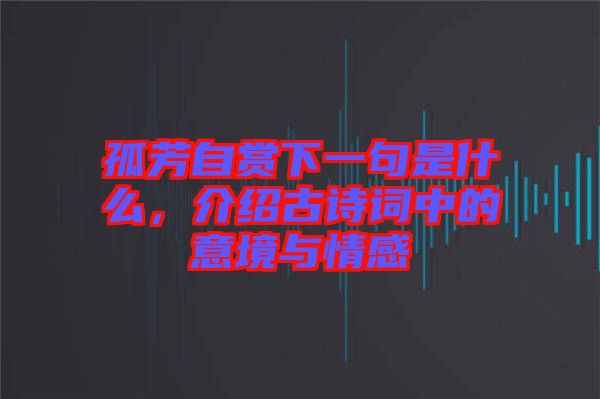孤芳自賞下一句是什么，介紹古詩(shī)詞中的意境與情感