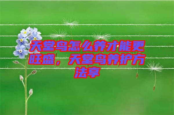 天堂鳥怎么養(yǎng)才能更旺盛，天堂鳥養(yǎng)護(hù)方法享