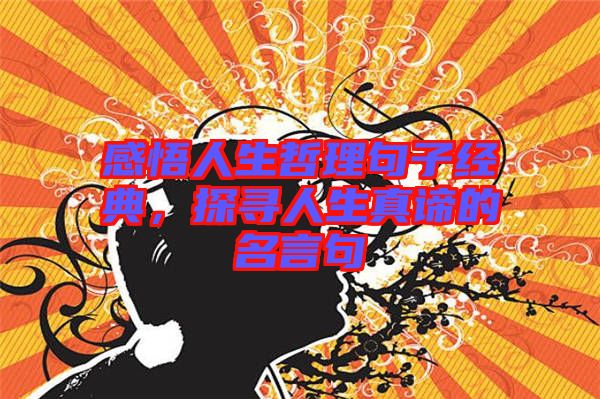 感悟人生哲理句子經(jīng)典，探尋人生真諦的名言句