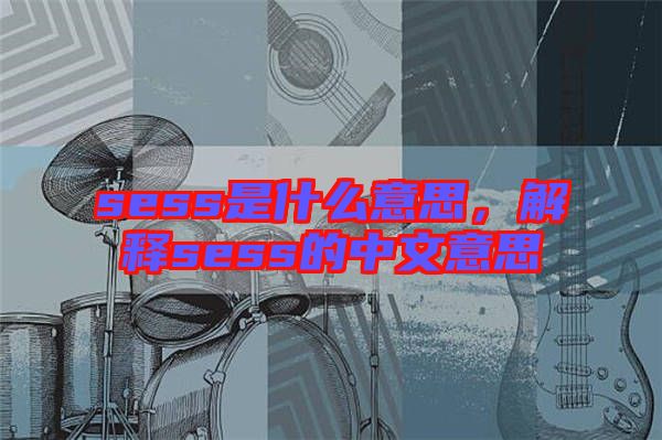sess是什么意思，解釋sess的中文意思