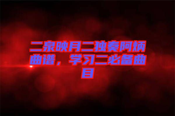 二泉映月二獨奏阿炳曲譜，學習二必備曲目