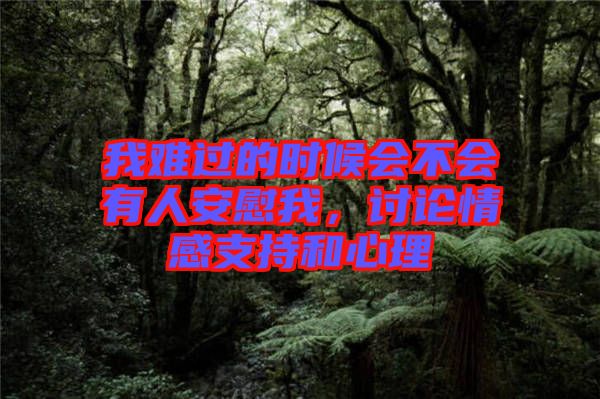 我難過的時(shí)候會(huì)不會(huì)有人安慰我，討論情感支持和心理