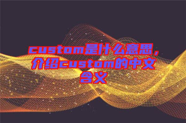 custom是什么意思，介紹custom的中文含義