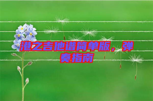 港之吉他譜簡(jiǎn)單版，彈奏指南