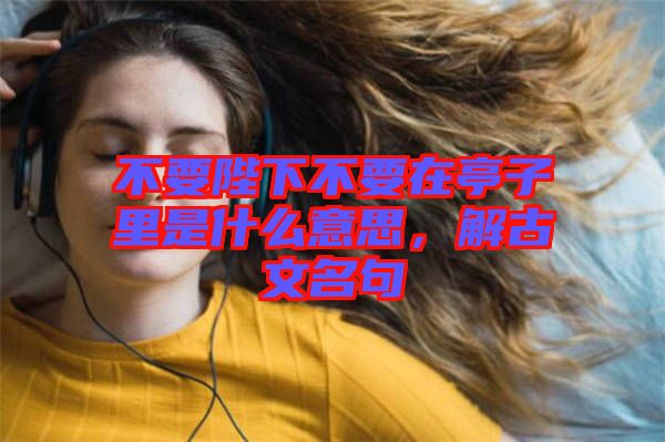 不要陛下不要在亭子里是什么意思，解古文名句