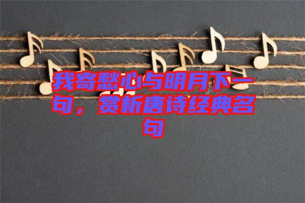 我寄愁心與明月下一句，賞析唐詩(shī)經(jīng)典名句