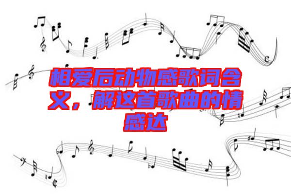 相愛(ài)后動(dòng)物感歌詞含義，解這首歌曲的情感達(dá)