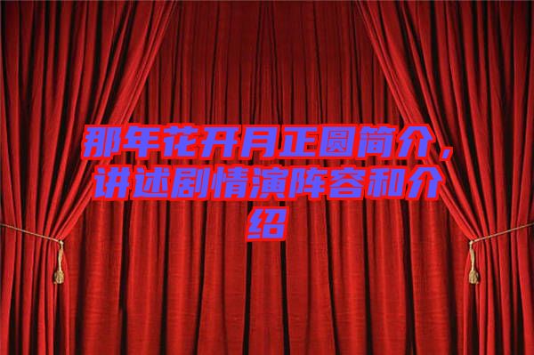 那年花開(kāi)月正圓簡(jiǎn)介，講述劇情演陣容和介紹