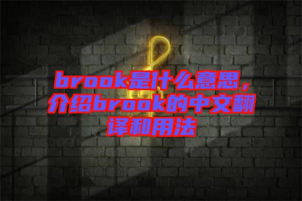 brook是什么意思，介紹brook的中文翻譯和用法
