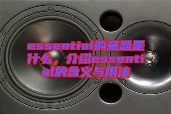 essential的意思是什么，介紹essential的含義與用法