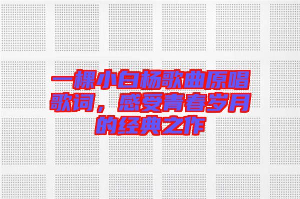 一棵小白楊歌曲原唱歌詞，感受青春歲月的經(jīng)典之作